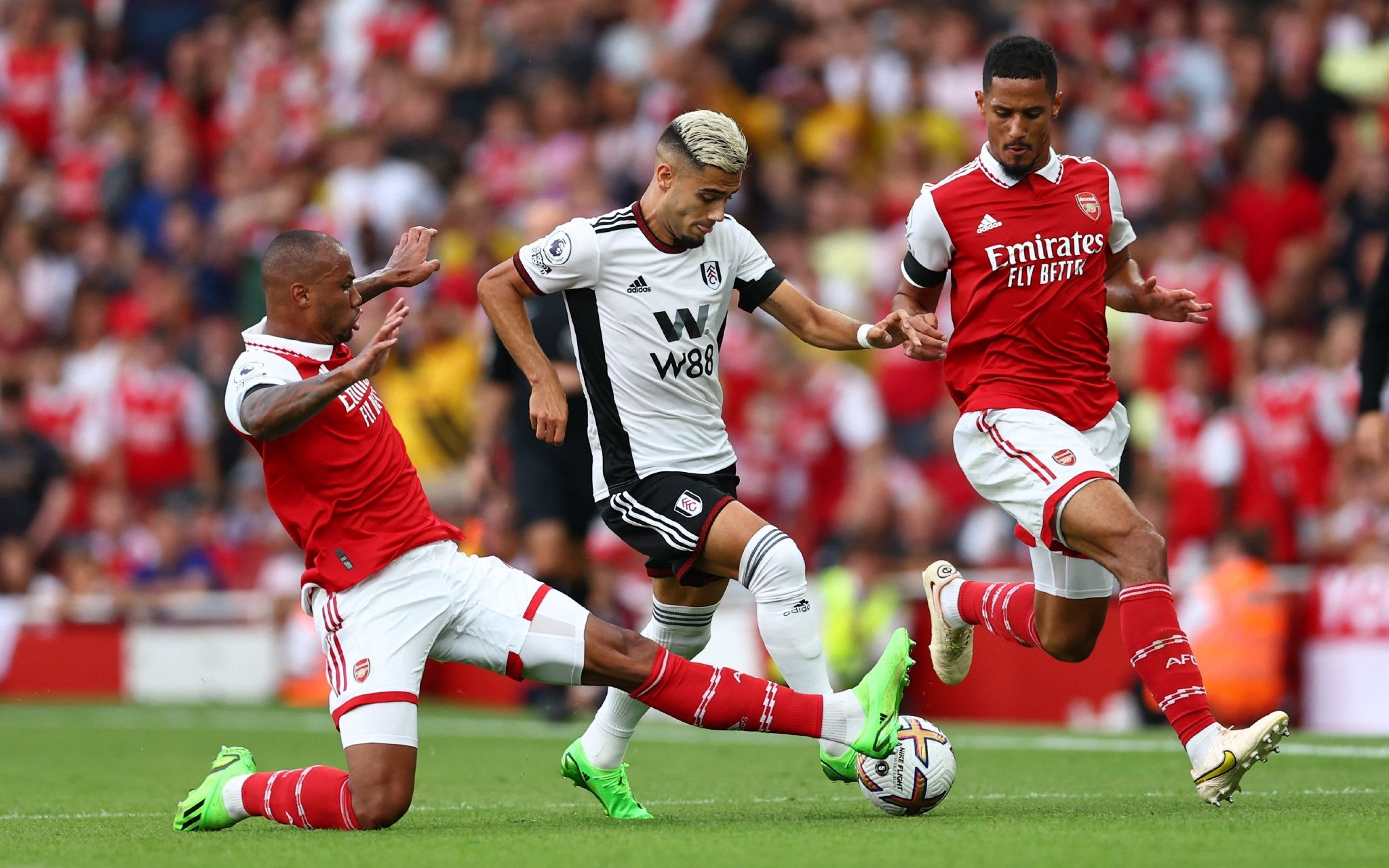 除虫灭鼠资质证书